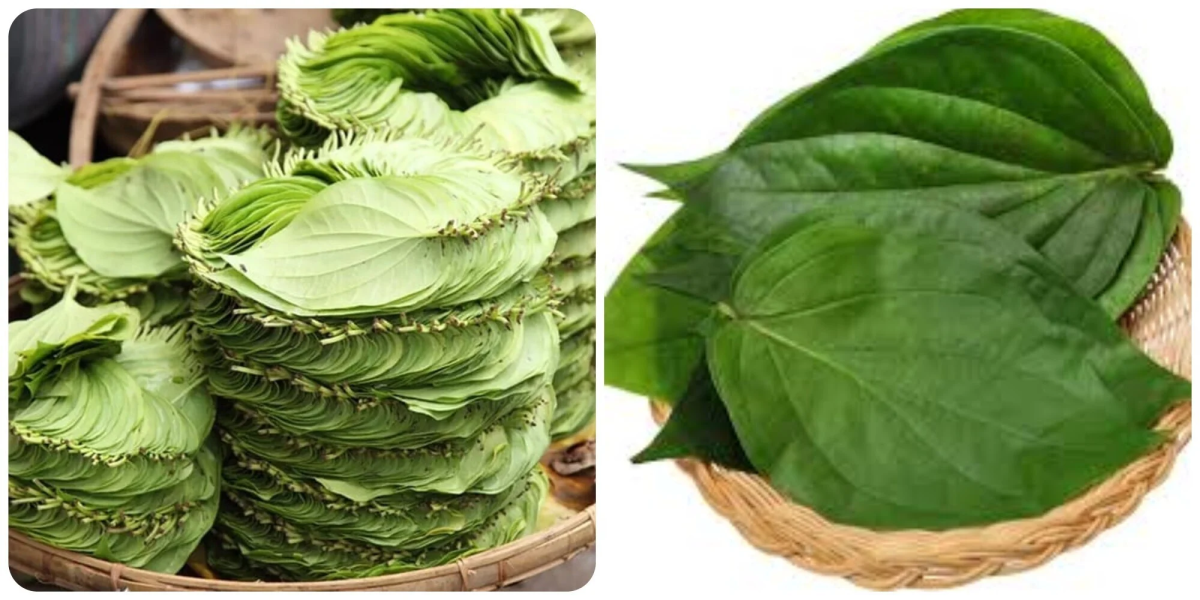 Nha Khoa Quốc Tế Sài Gòn Trị sâu răng với lá trầu không